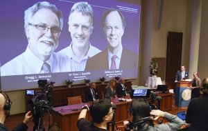 Нобелевку по физиологии и медицине присудили за исследования адаптации клеток к кислороду (Ее получили Уильям Келин, Питер Рэтклифф и Грегг Семенца)