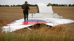 В Раде призвали Киев к сотрудничеству с Нидерландами в расследовании крушения Boeing