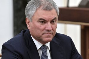 Володин: 25 млн россиян хотели бы жить в деревне