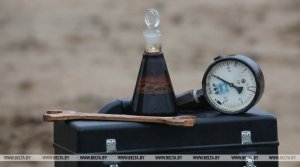 Беларусь из-за налогового маневра и грязной нефти недополучила в экспорте около $1,5 млрд