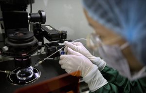 10 генов, нарушения в работе которых повышают риск развития шизофрении