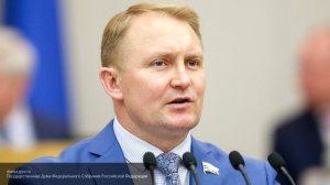 В Госдуме разберутся, почему Минск допустил задержание россиянки по лживому обвинению США