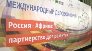 Россия и Африка закрепят экономическую интеграцию конкретными проектами на саммите в Сочи