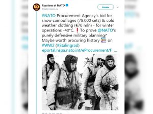 Постпредство РФ при НАТО посоветовало альянсу купить учебники вместо арктической формы