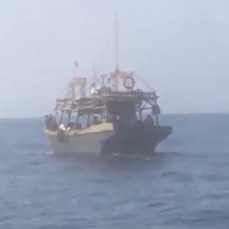 Северокорейские рыбаки снова ведут браконьерский промысел в полумиле от берега Приморья