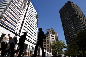 В Южной Африке построили расовый социализм