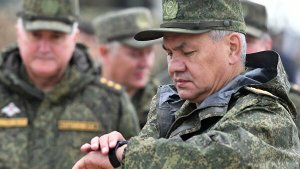 Шойгу заявил о досрочном отводе курдов из зоны безопасности в Сирии