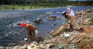 Сколько золота можно намыть за день в золотоносных реках