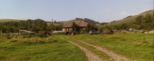 Алтайские школьники остались без школы