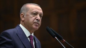Эрдоган: Турция при необходимости расширит зону безопасности в Сирии
