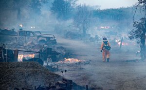 Пожары в Калифорнии: горят дома Лос-Анджелеса, стихия подбирается к голливудским холмам миллионеров