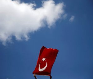 Турция обвинила Францию в попытках создания террористического государства в Сирии