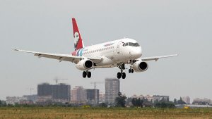 До 90% авиаинцидентов в России связаны с попаданием птиц, заявили в "Ямале"
