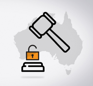 Любая интернет-компания обязана тайно изменить программный код по требованию властей