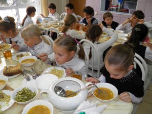 На российских щах: школьников накормят отечественными овощами  (В Госдуме предлагают ограничить поставки иностранных продуктов в образовательные учреждения)
