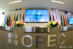 Бразилию пригласили участвовать в декабрьских переговорах ОПЕК+