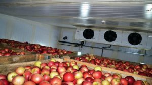 В Польше нашли тела двух украинцев в морозилке для фруктов