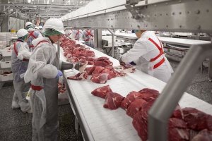 15 российских предприятий АПК экспортируют продукцию в Бразилию