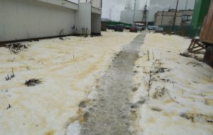 В карельском городе птицы умерли на лету и выпал желтый снег