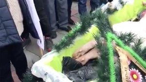 К зданию рады принесли мертвую свинью в гробу