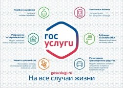 Объем предоставленных госуслуг увеличился вдвое за 10 месяцев