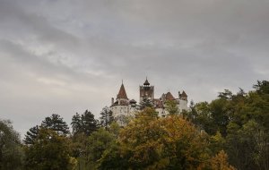 Письмо Дракулы поможет выяснить, текла ли у него кровь из глаз