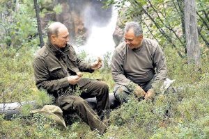 Власти взяли под контроль сбор грибов, ягод и берёзового сока