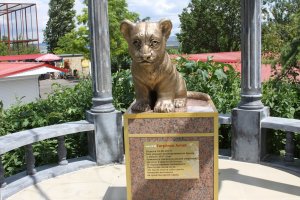 Министерство природы Крыма решило в судебном порядке конфисковать 32 тигра из парка "Тайган", самой крупной коллекции амурских тигров в мире