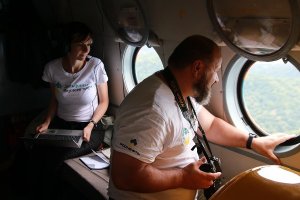 Масштабный авиаучет дельфинов провели в Черном море