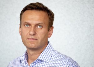 В Сети узнали гонорар Навального за информационную атаку на Рогозина