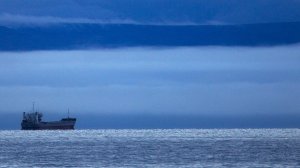 Тает лед: в Международной морской организации оценили возможности Севморпути