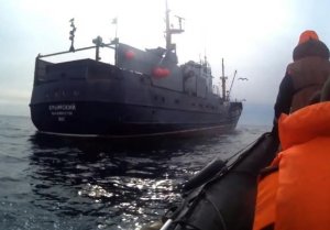 11 тысяч крабов на свободе: ФСБ Приморья задержало браконьеров с большим уловом