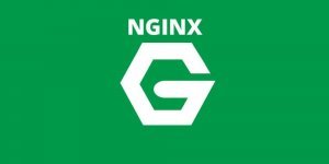 Яндекс вступился за Nginx после обысков