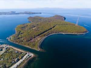 Правкомиссия одобрила строительство моста на остров Елены во Владивостоке