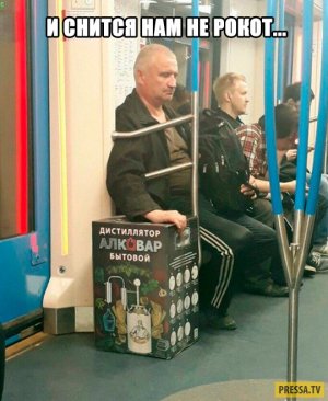 «А снится нам трава, трава у дома. Зеленая, зеленая трава»