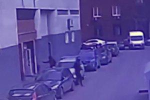 Появились подробности расстрела прохожего в Москве