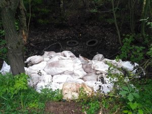 В Кирове ликвидировали свалки со зловонными отходами в лесном массиве микрорайона Ганино