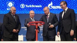 Сербия подсчитала доходы от транзита газа через «Турецкий поток»