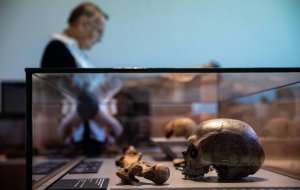 Неандертальцы оказались хорошими ныряльщиками