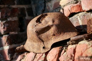 Минобороны РФ рассекретило документы о зверствах поляков во время Великой Отечественной войны  (Польские партизаны брали в плен советских военнослужащих)