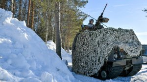 NZZ: в страхе перед Россией Швеция исполнит «финансовый силовой номер»