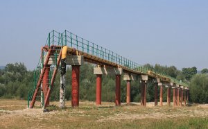 Белоруссия: Союз алчности и глупости