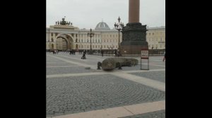 На Дворцовой площади обнаружили гигантского ящера.
