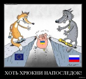 Украина. Намордники, желтый чебот и солдатский ремень