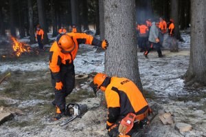 «Идем в лес»: как компания STIHL знакомит сотрудников и партнеров с новой техникой