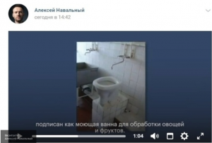 Фейковый юрист Любовь Соболь нацелилась на Госдуму, но вновь потерпит фиаско