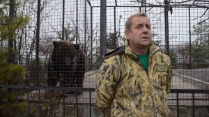 В Крыму арестовали директора парка львов "Тайган" Олега Зубкова на 2 месяца