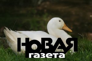«Сплетни в виде версий» – очередное бессовестное вранье «Новой газеты»