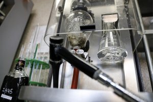 Счетная палата раскритиковала уровень развития науки в России