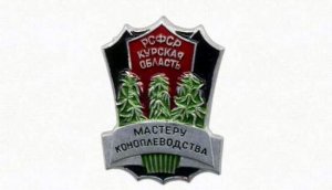 Новое правительство России разрешило выращивать мак и коноплю